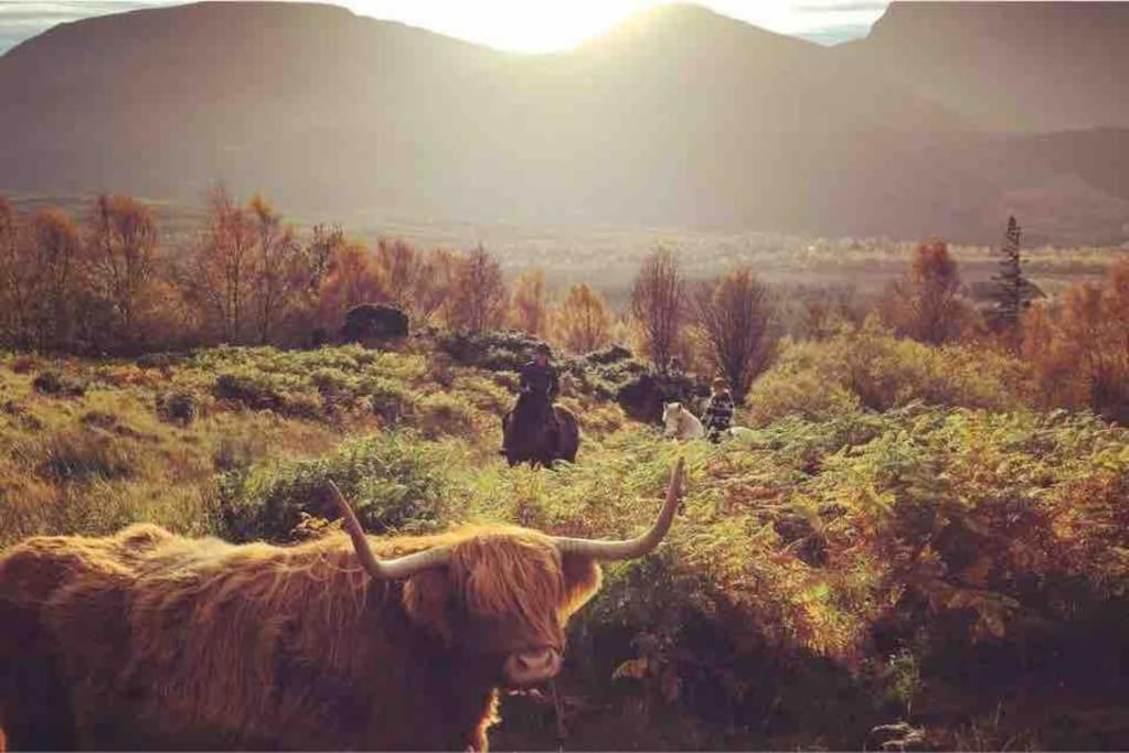 Wild Nurture Eco Luxury Offgrid Log Cabin フォート・ウィリアム エクステリア 写真