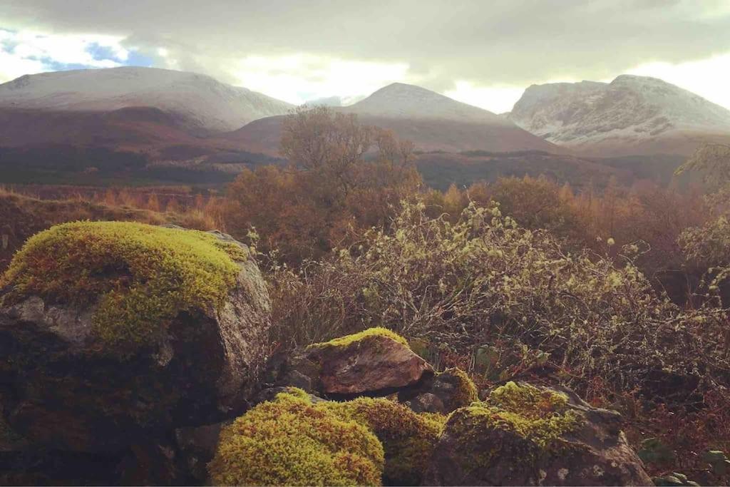 Wild Nurture Eco Luxury Offgrid Log Cabin フォート・ウィリアム エクステリア 写真