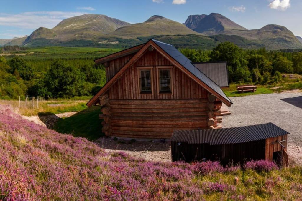 Wild Nurture Eco Luxury Offgrid Log Cabin フォート・ウィリアム エクステリア 写真