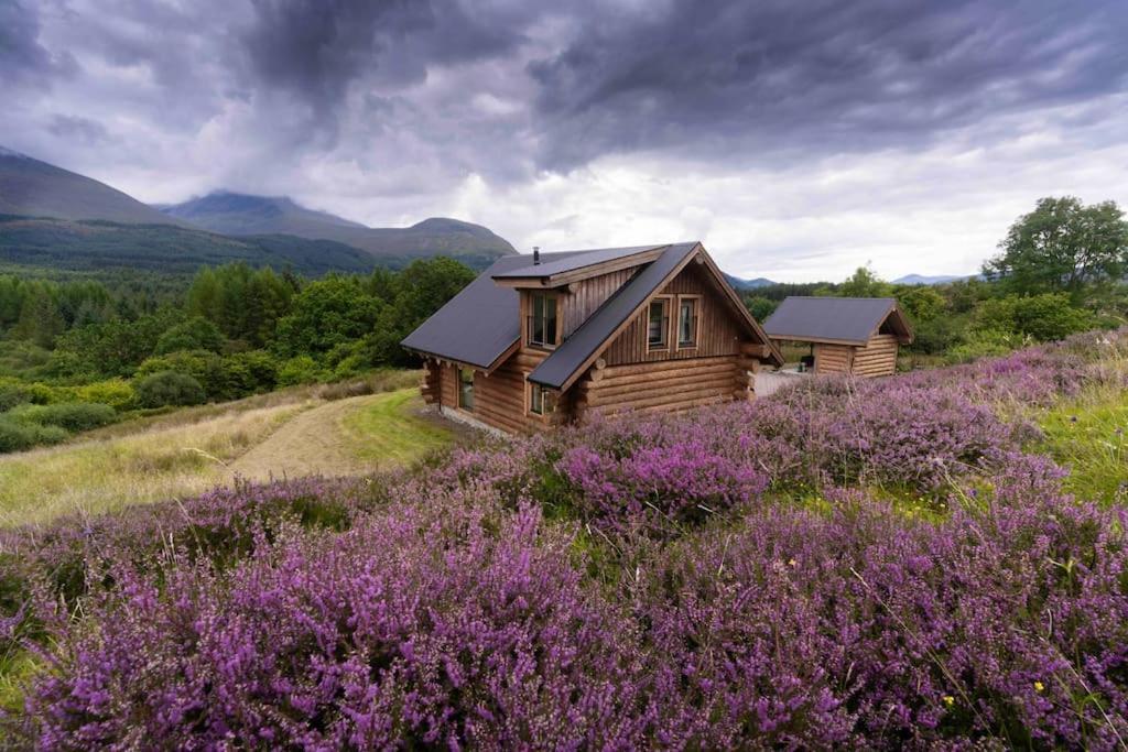 Wild Nurture Eco Luxury Offgrid Log Cabin フォート・ウィリアム エクステリア 写真