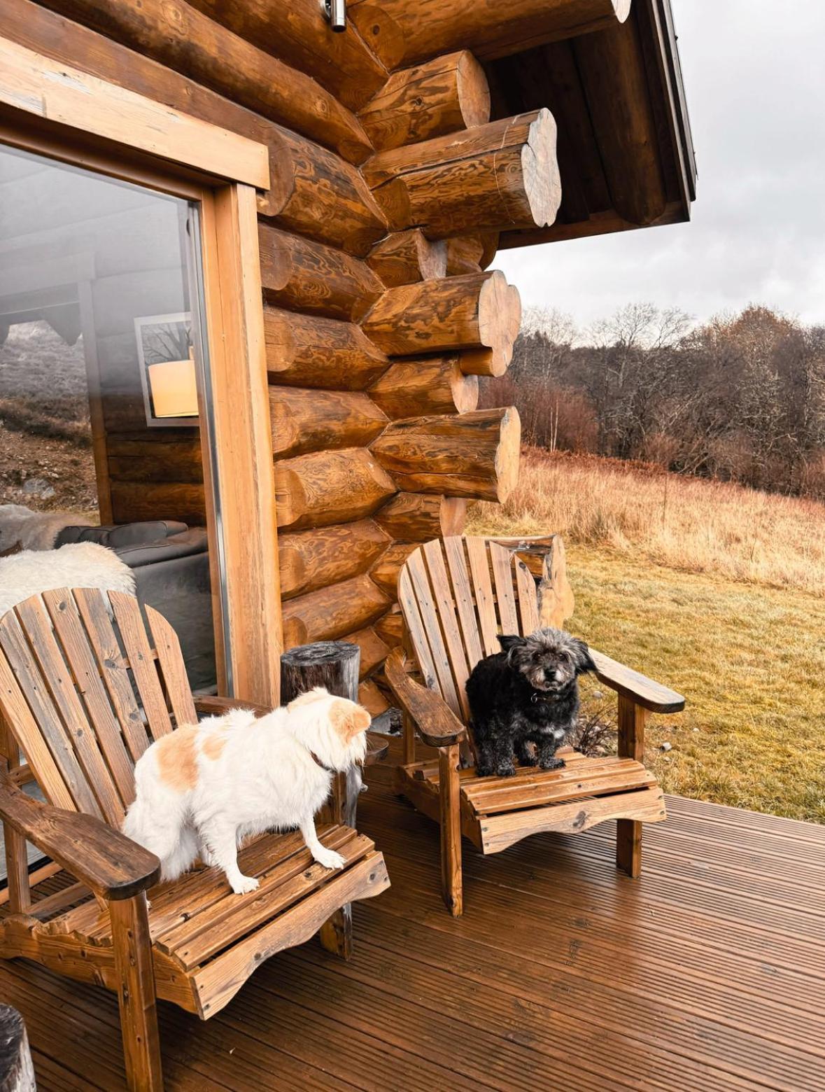 Wild Nurture Eco Luxury Offgrid Log Cabin フォート・ウィリアム エクステリア 写真